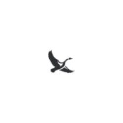 Eddie Bauer logo