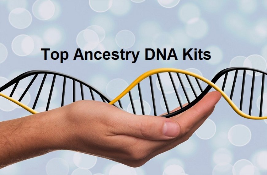 Unlock Your Family History: Top DNA Testing Kits for Ancestry Exploration